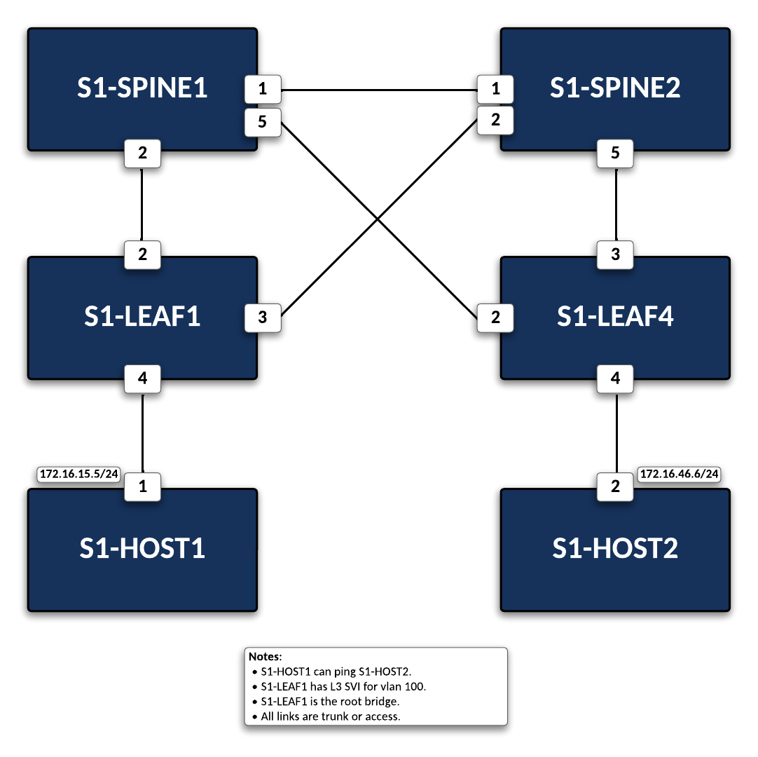 Lab Topology